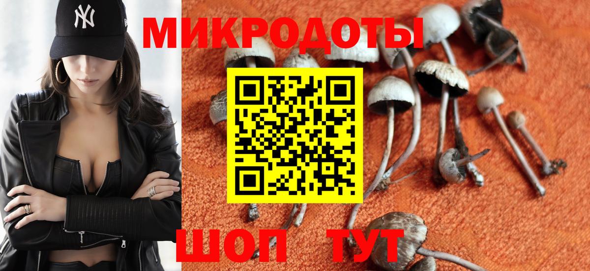 хочу наркоту  Вход с VPN  Алексин  Галлюциногенные грибы GOLDEN TEACHER  Псилоцибиновые грибы MAGIC MUSHROOMS 